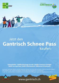Gantrisch Schnee Pass