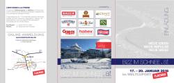 hnEE at86 - Bizz im Schnee