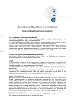 Hinweisblatt zur Muster-Promotionsvereinbarung: Sinnvolle