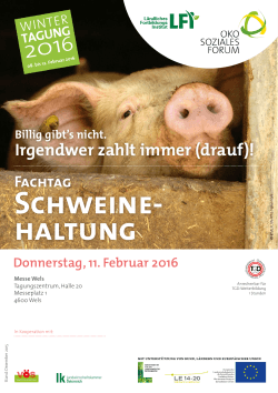 Schweine haltung - Ökosoziales Forum