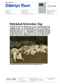 Strickhof -Schweine -Tag