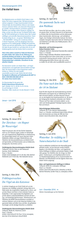 Die spannende Suche nach dem Waldkauz Die Natur nach dem