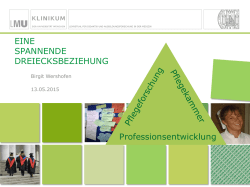 EINE SPANNENDE DREIECKSBEZIEHUNG Professionsentwicklung