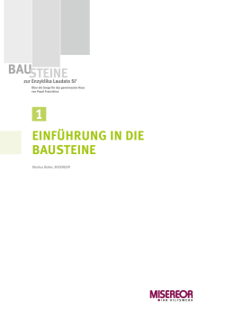 Einf&uuml;hrung in die Bausteine zur Enzyklika Laudato Si