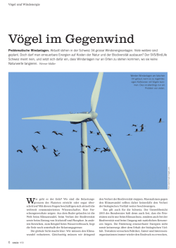 V&ouml;gel im Gegenwind - Wind