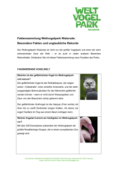 Besondere Fakten und unglaubliche Rekorde