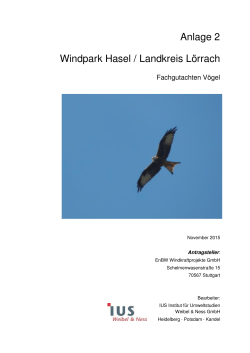 Fachgutachten Vögel - Windpark Hasel (1,8 MB ) PDF