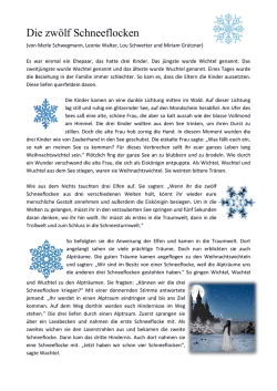 Die zw&ouml;lf Schneeflocken