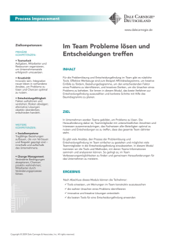 Im Team Probleme l&ouml;sen und Entscheidungen treffen