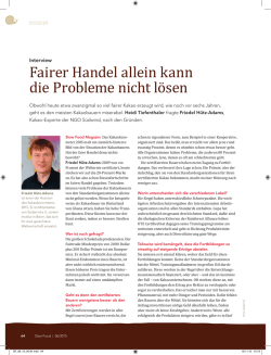 Fairer Handel allein kann die Probleme nicht lösen