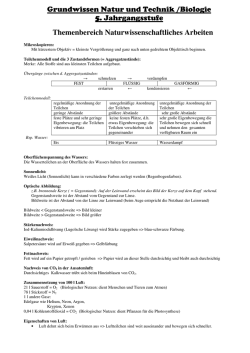 Grundwissen Natur und Technik /Biologie 5. Jahrgangsstufe