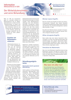 pdf Infoblatt MiFo Nr. 29: Wirbelsäule