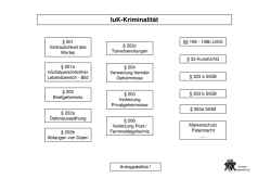 IuK-Kriminalit&auml;t