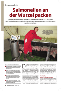 Salmonellen an der Wurzel packen