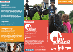Reiten lernen: ERLEBNIS ISLANDPFERD Kindergeburtstage