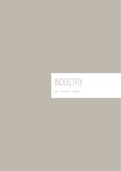 industry - Ceramica Magica