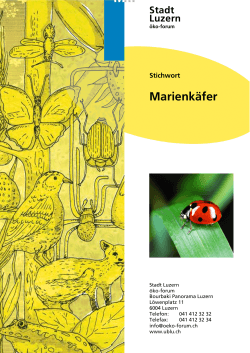 Marienkäfer - Umweltberatung Luzern