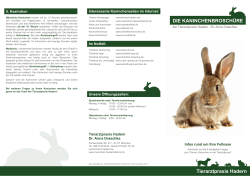 Flyer: Kaninchen - Tierarztpraxis Hadern
