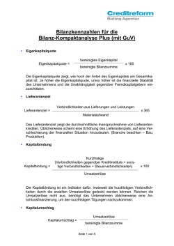 Bilanzkennzahlen für die