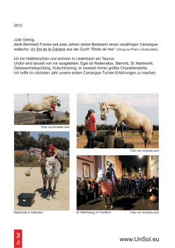 Julie Gerbig - Camarguepferde