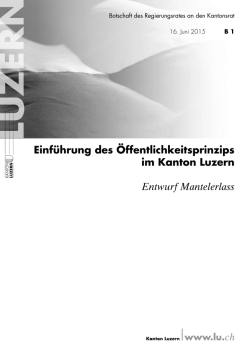 Einf&uuml;hrung des &Ouml;ffentlichkeitsprinzips im Kanton Luzern Entwurf