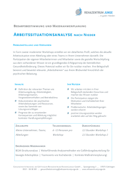 Arbeitssituationsanalyse nach Nieder