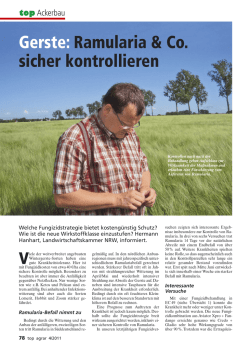 Gerste: Ramularia & Co. sicher kontrollieren