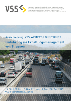 einf&uuml;hrung ins erhaltungsmanagement von Strassen