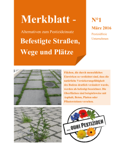 Befestigte Stra&szlig;en, Wege und Pl&auml;tze