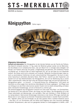 Königspython - Schweizer Tierschutz STS