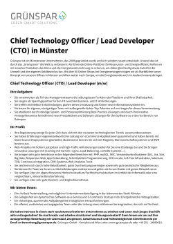 Chief Technology Officer / Lead Developer (CTO) in