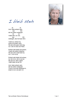 Ich bleib steh - Werner Schmidbauer