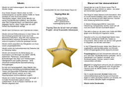 Info-Flyer - Dampfer-Demo