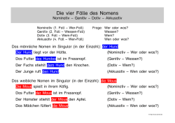 Die vier F&auml;lle des Nomens