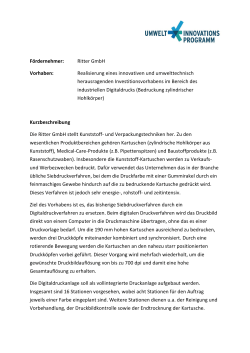 Kurzbeschreibung Ritter GmbH PDF