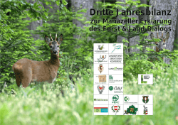Dritte Jahresbilanz Dritte Jahresbilanz