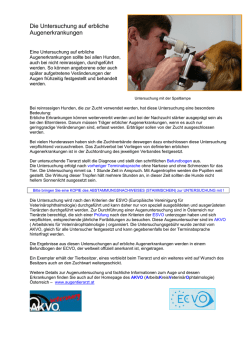 Die Untersuchung auf erbliche Augenerkrankungen