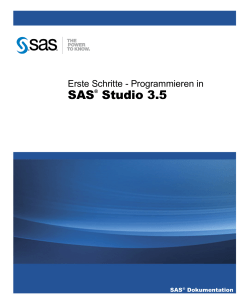 Programmieren in SAS Studio