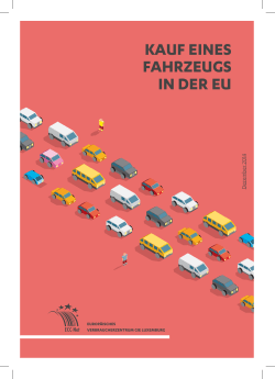 KAUF EINES FAHRZEUGS IN DER EU