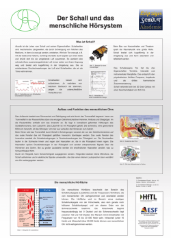 Der Schall und das menschliche Hörsystem