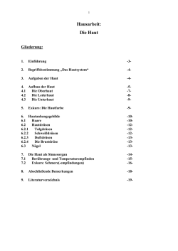 Hausarbeit: Die Haut