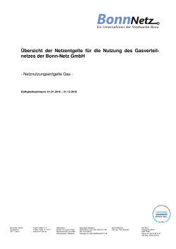 Preisblatt Netznutzung (gültig ab dem 01.01.2016) - Bonn