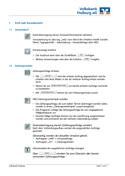 Profi cash Kurzanleitung