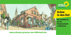 Gr&uuml;ne in den Rat