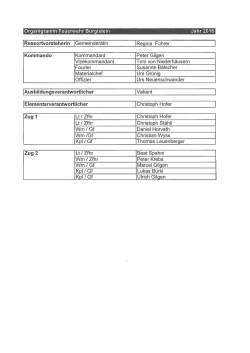 Organigramm Feuerwehr Burgistein Jahr 2016 IRessortvorsteherin