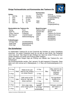 Einige Fachausdr&uuml;cke und Kommandos des Taekwon