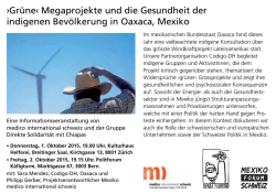 Grüne‹ Megaprojekte und die Gesundheit der indigenen