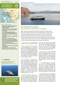 Die wilden Wale vor Mexiko &ndash; Eine Expedition mit National