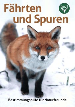 Fährten und Spuren - Deutscher Jagdverband