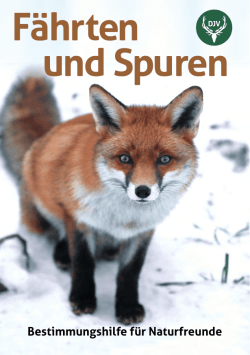 Fährten und Spuren - Deutscher Jagdverband